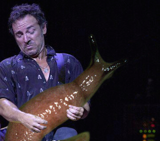 Illustration for article titled Our New Favorite Tumblr: SLUG SOLOS
